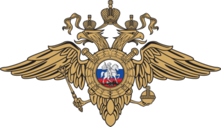 Переводы для государственных органов